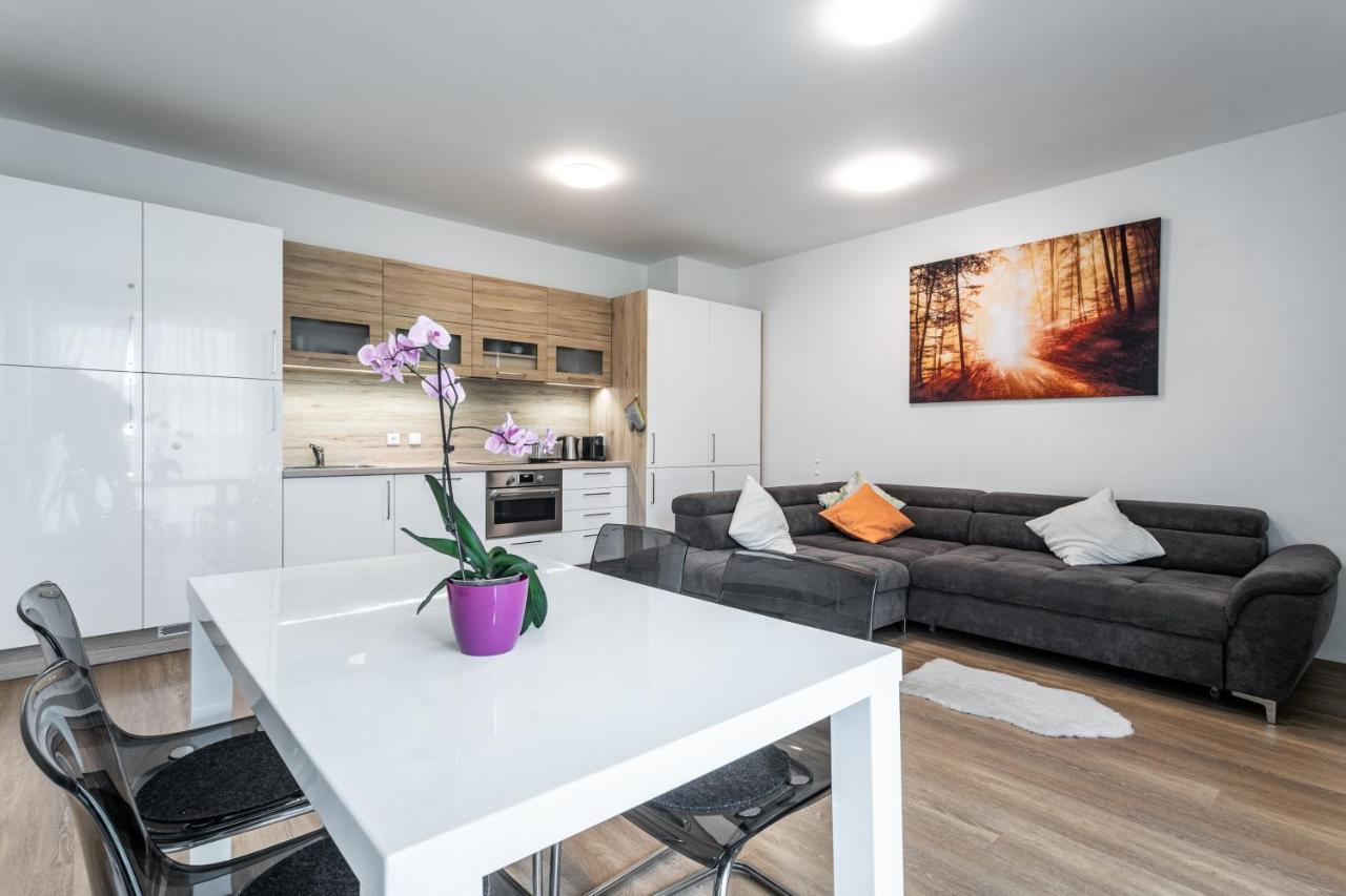 Mountain Apartments Klinovec Hexagon โลชนา โปด กลิโนฟเซม ภายนอก รูปภาพ